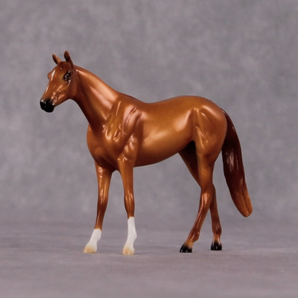 "Cinna" OOAK Thoroughbred Chip By Ellen Robbins CL25 Classic Lit Chips