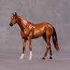 &quot;Cinna&quot; OOAK Thoroughbred Chip By Ellen Robbins CL25 Classic Lit Chips