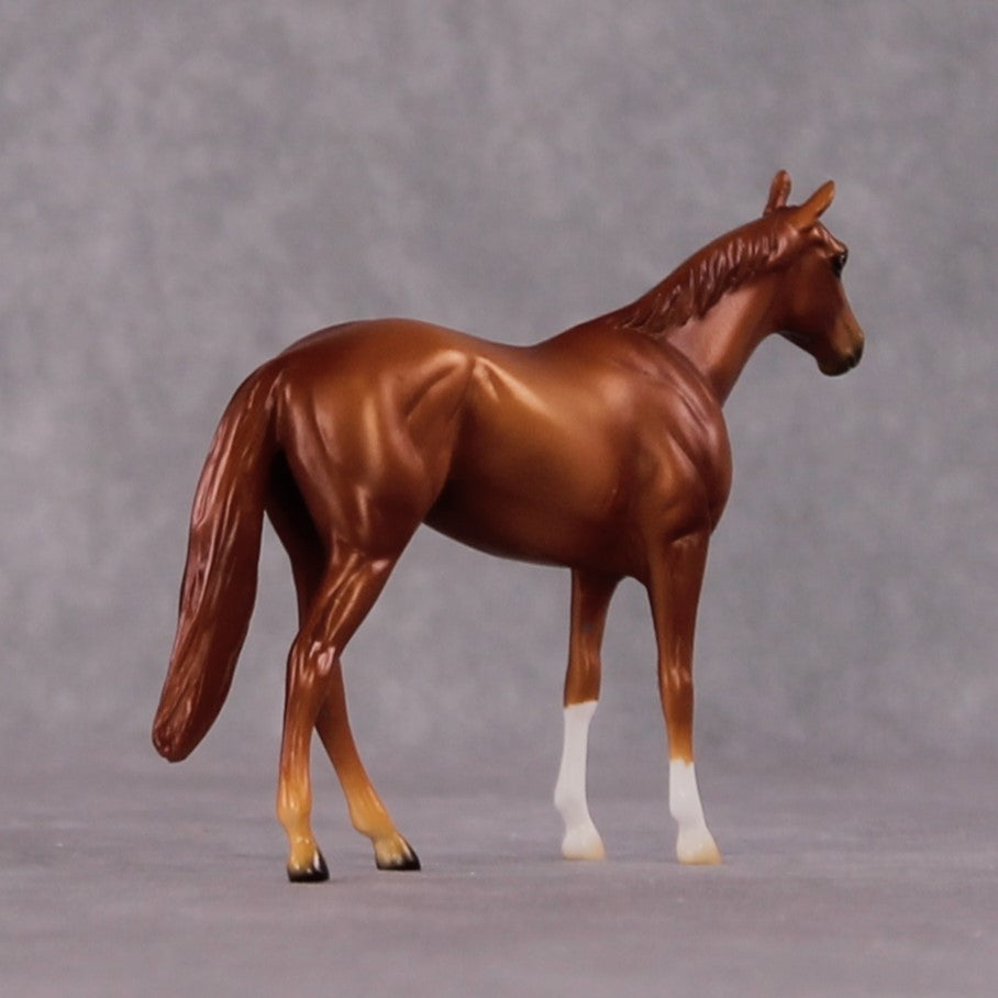 "Metellus Cimber" OOAK Thoroughbred Chip By Ellen Robbins CL25 Classic Lit Chips