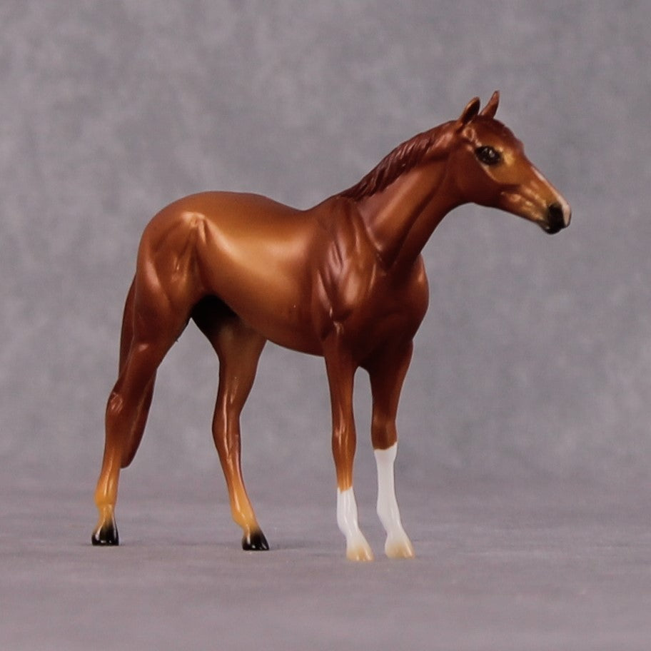 "Metellus Cimber" OOAK Thoroughbred Chip By Ellen Robbins CL25 Classic Lit Chips