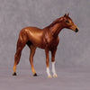 &quot;Metellus Cimber&quot; OOAK Thoroughbred Chip By Ellen Robbins CL25 Classic Lit Chips