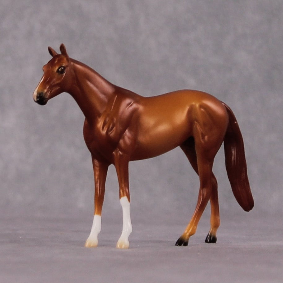 "Metellus Cimber" OOAK Thoroughbred Chip By Ellen Robbins CL25 Classic Lit Chips