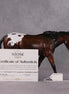 Non Disclosure OOAK Loyalty Mule Sample MHP Auction