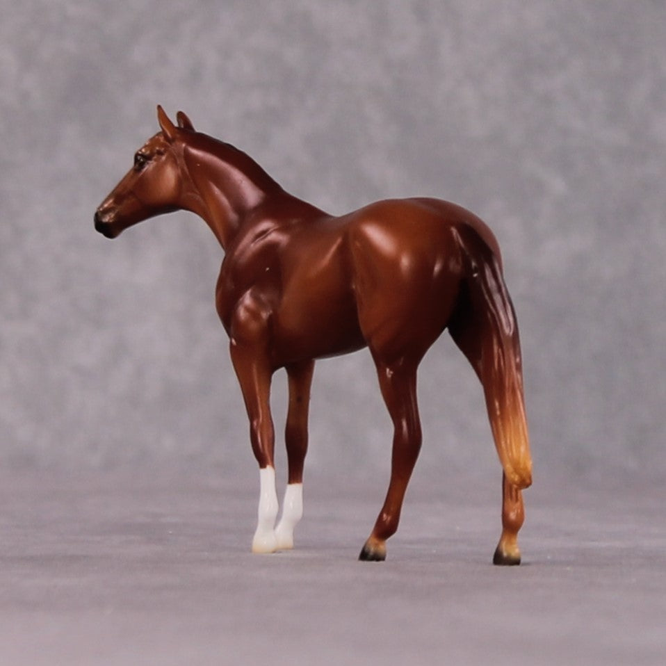 "Trebonius" OOAK Thoroughbred Chip By Ellen Robbins CL25 Classic Lit Chips