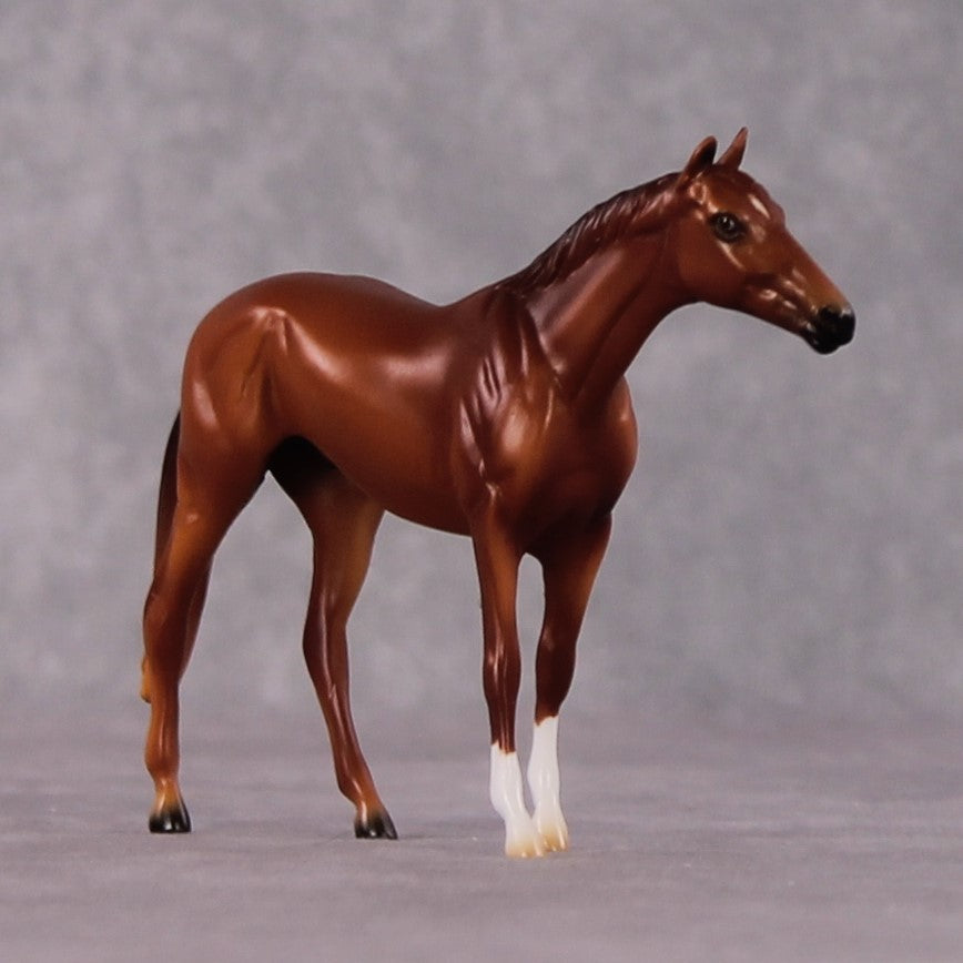 "Trebonius" OOAK Thoroughbred Chip By Ellen Robbins CL25 Classic Lit Chips