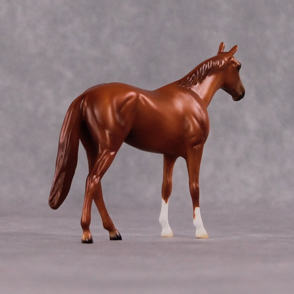 "Ligarius" OOAK Thoroughbred Chip By Ellen Robbins CL25 Classic Lit Chips