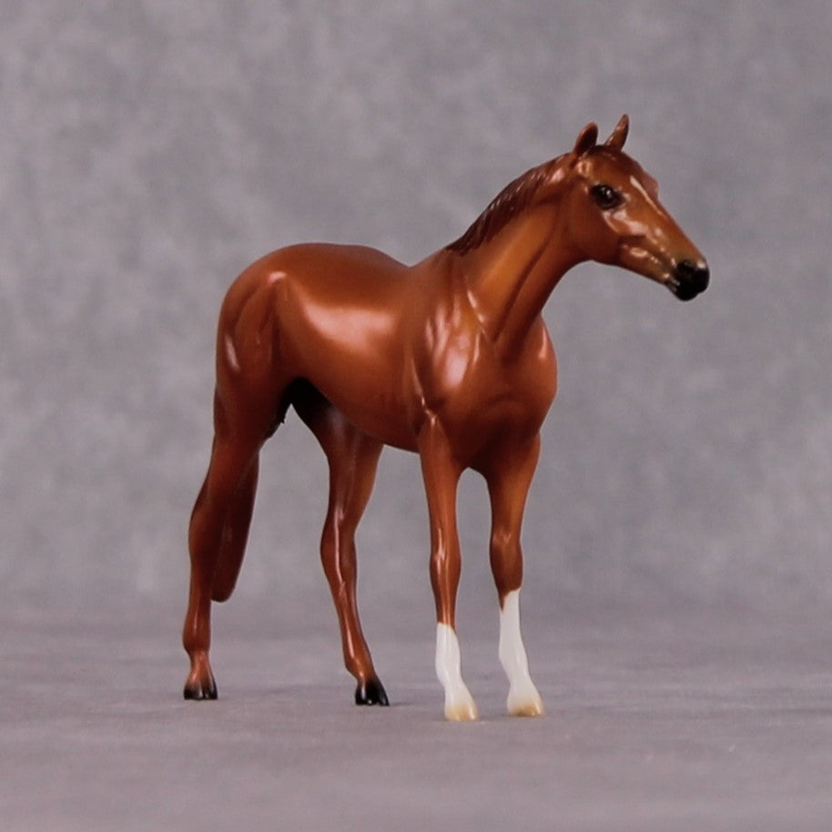 "Ligarius" OOAK Thoroughbred Chip By Ellen Robbins CL25 Classic Lit Chips