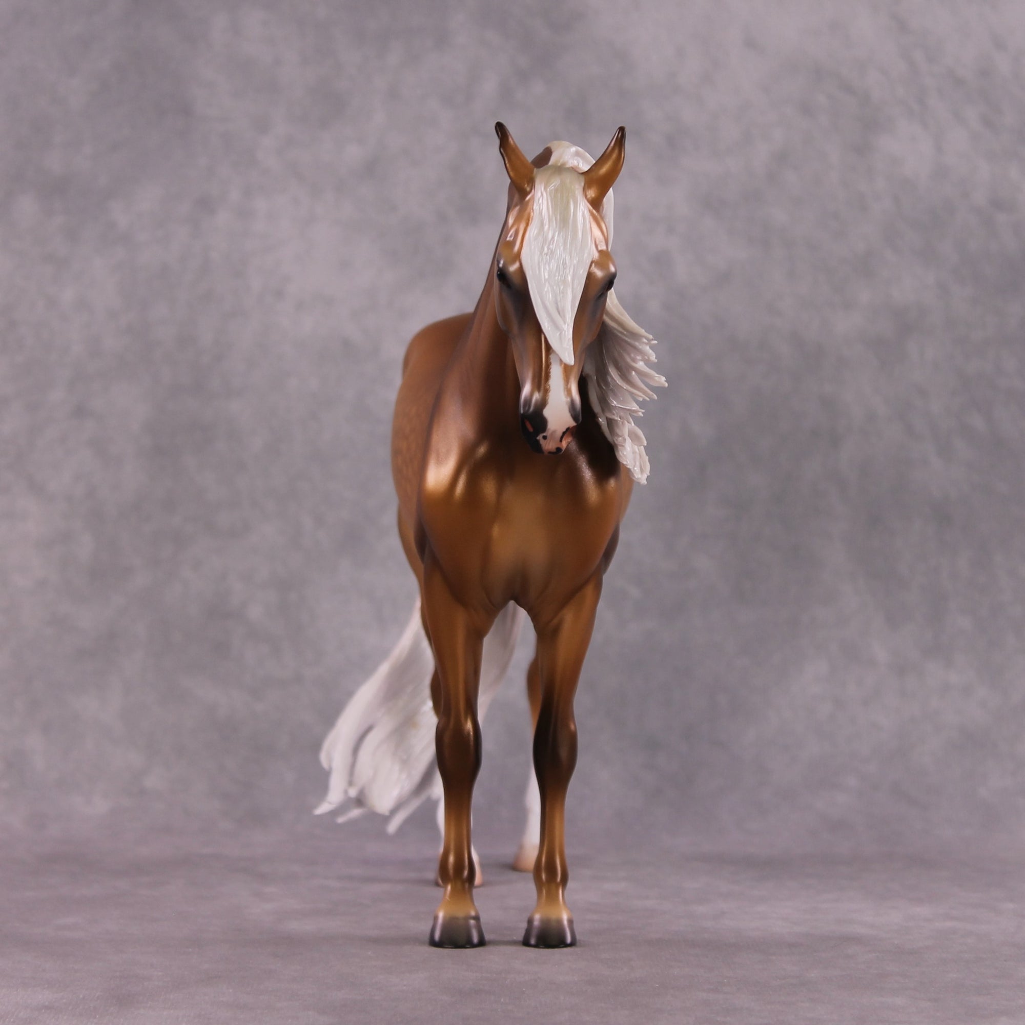 "King Tut" OOAK FCM Andalusian By Caroline Boydston Best Offer 5/6/2025