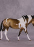 "Afternoon Coffee" OOAK FCM Large Mule by Dawn Quick SHCF25