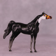 Atitlán LE-3 Chip Arabian by Jess Hamill MS25