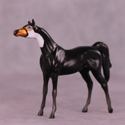 Atitlán LE-3 Chip Arabian by Jess Hamill MS25