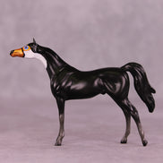 Atitlán LE-3 Chip Arabian by Jess Hamill MS25