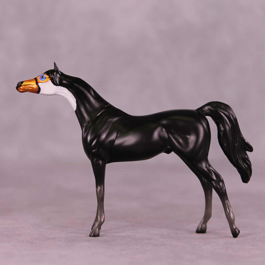 Atitlán LE-3 Chip Arabian by Jess Hamill MS25