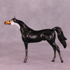 Atitlán LE-3 Chip Arabian by Jess Hamill MS25