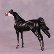 Atitlán LE-3 Chip Arabian by Jess Hamill MS25