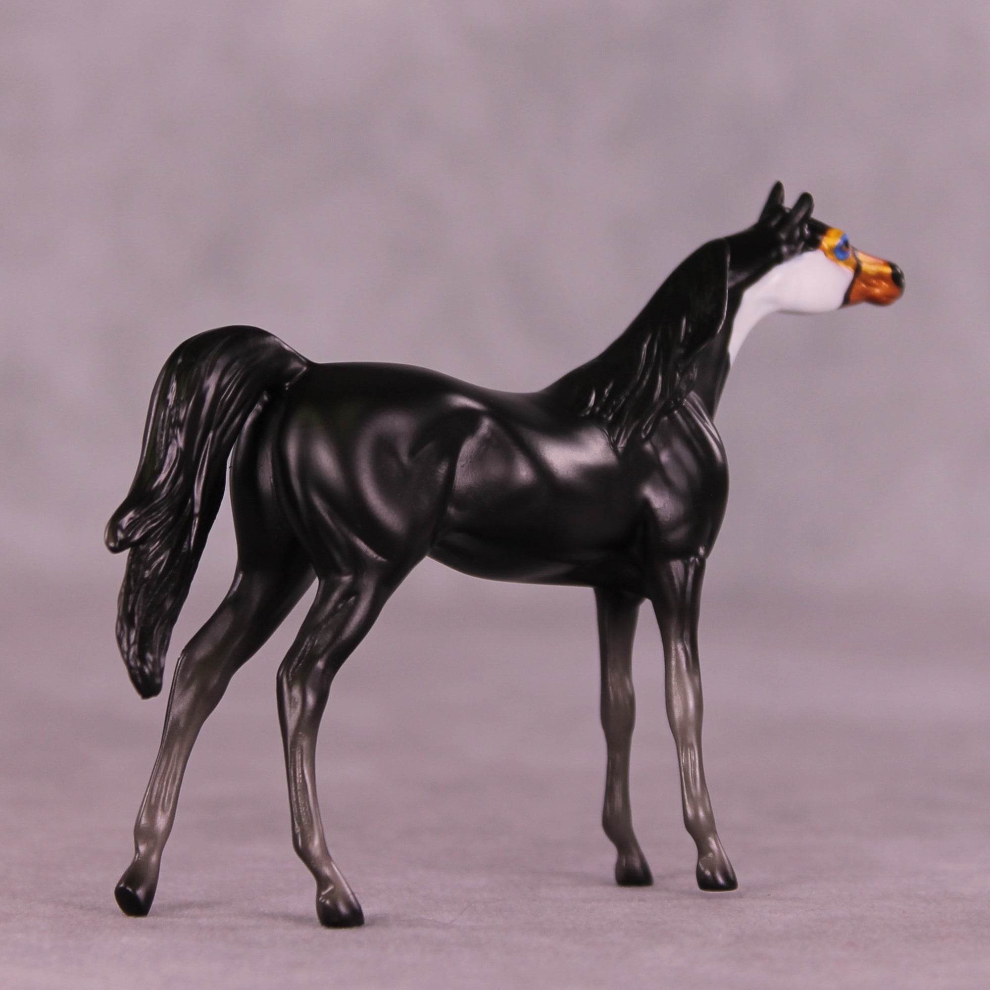Atitlán LE-3 Chip Arabian by Jess Hamill MS25