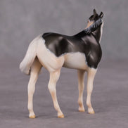 Lavender Spritz OOAK Grulla Custom Stock Chip By Amanda Brock MHP Auction 12/3/24