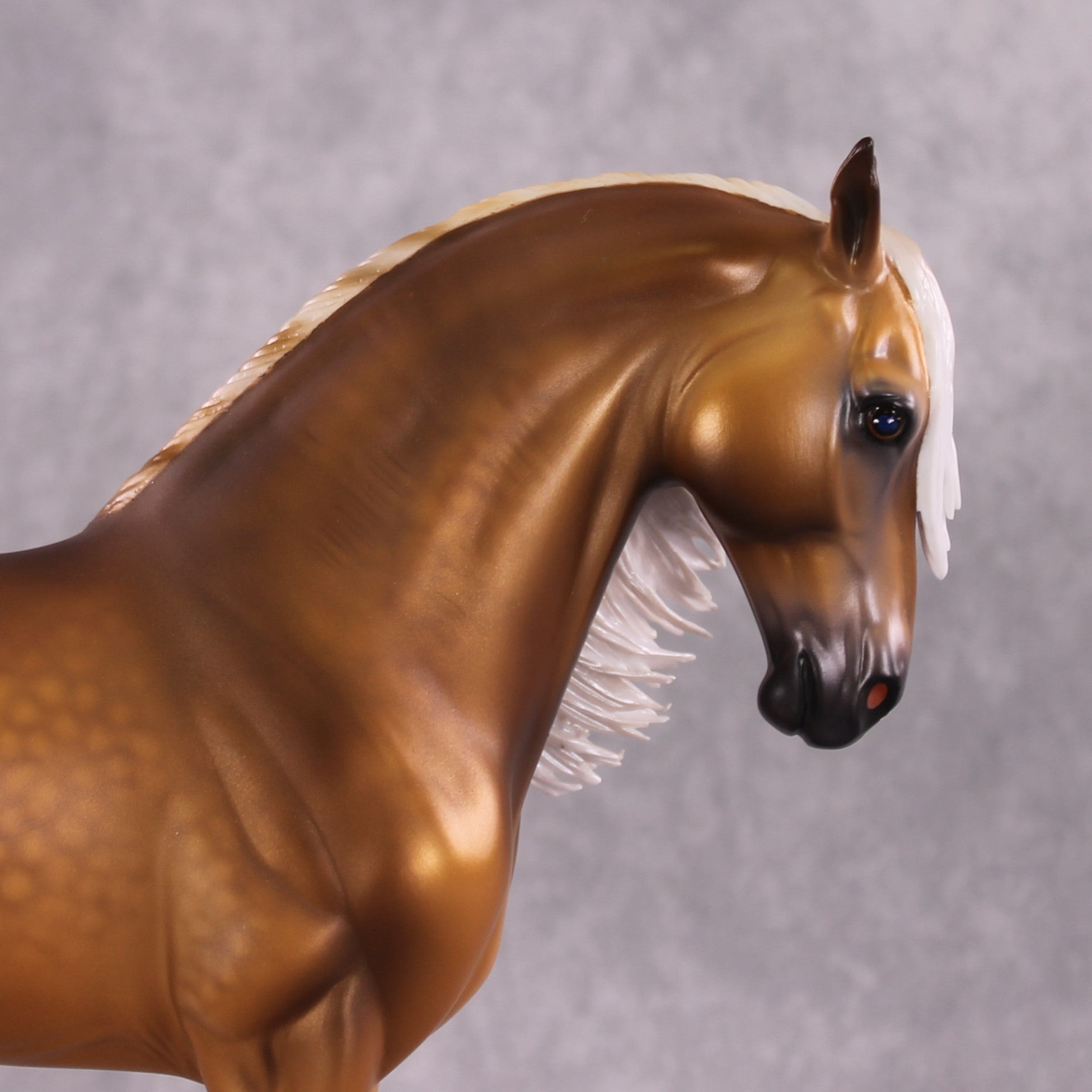 "King Tut" OOAK FCM Andalusian By Caroline Boydston Best Offer 5/6/2025