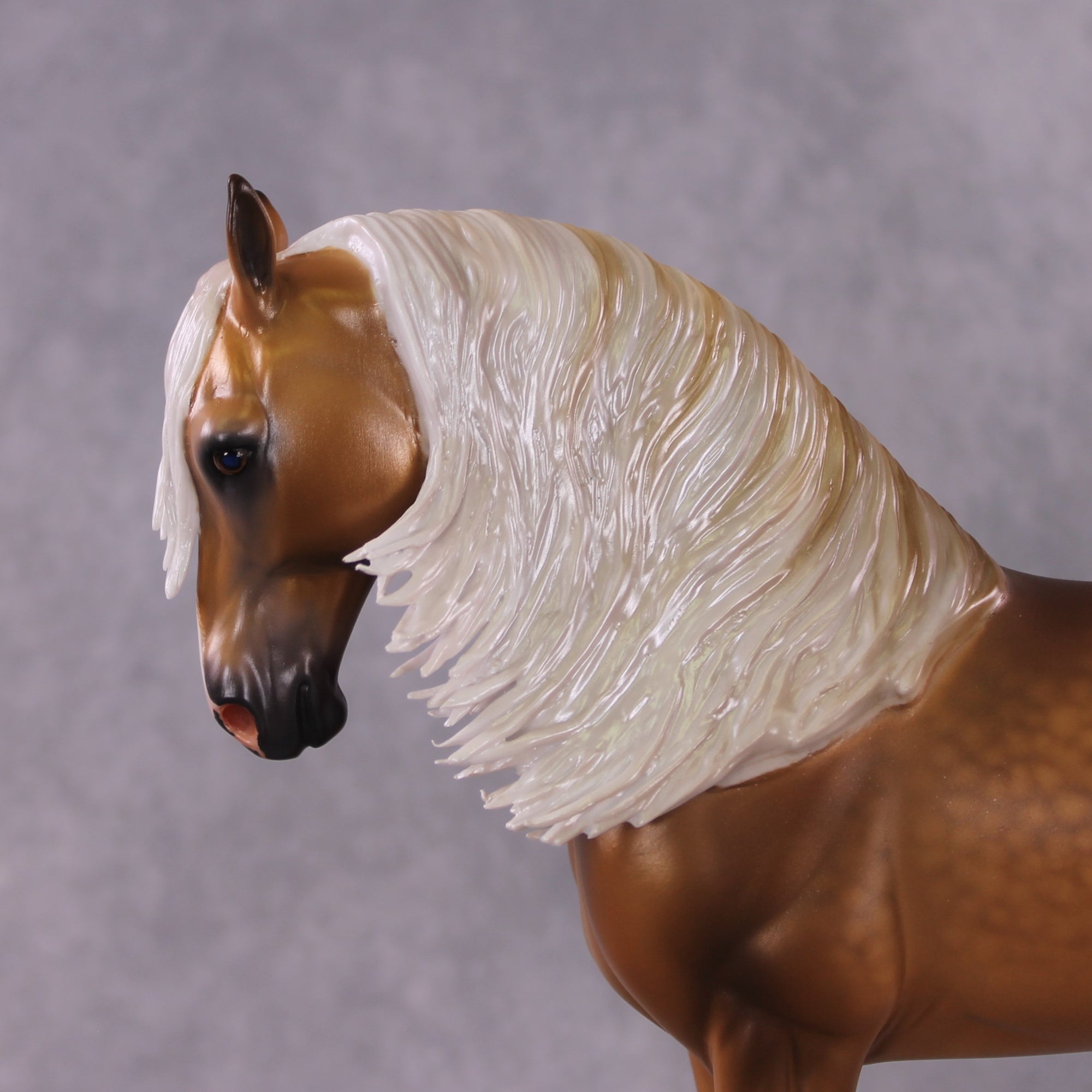 "King Tut" OOAK FCM Andalusian By Caroline Boydston Best Offer 5/6/2025