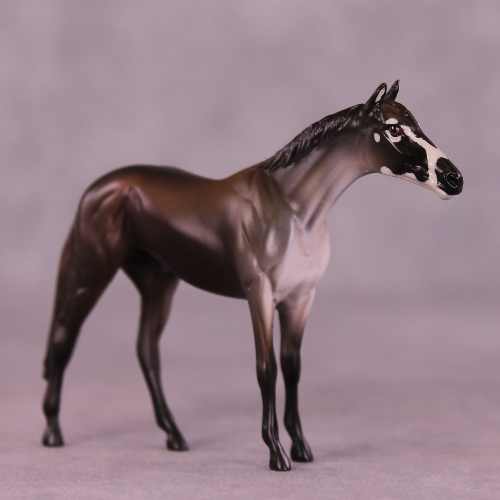 Miravalles LE-3 Chip Thoroughbred by Jess Hamill MS25