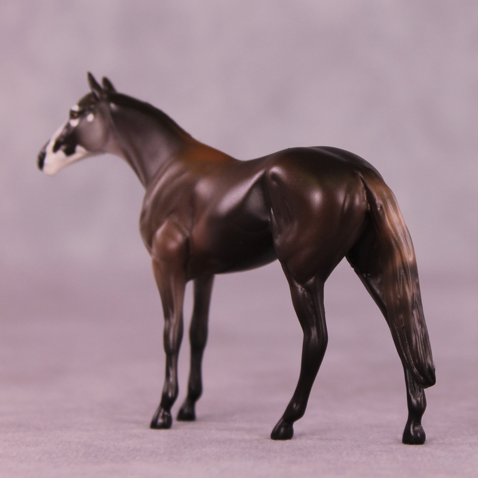 Miravalles LE-3 Chip Thoroughbred by Jess Hamill MS25