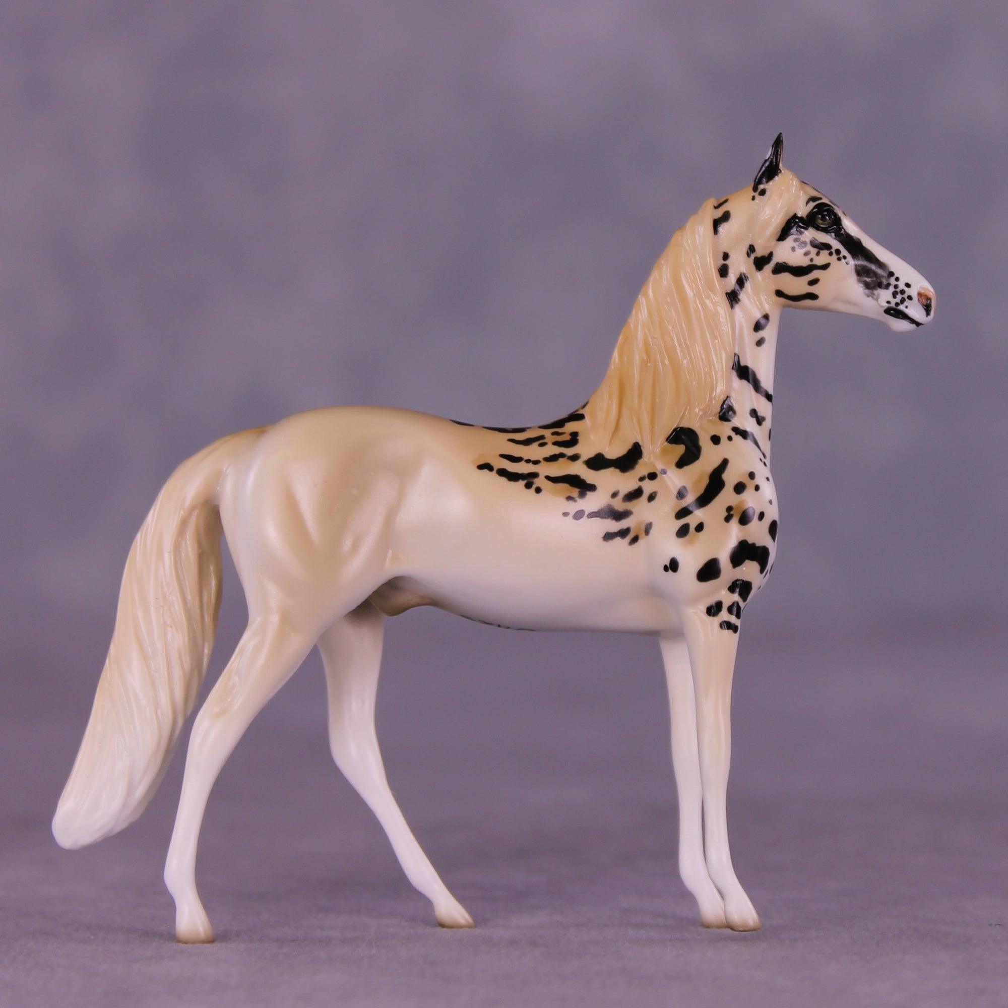 Barú LE-3 Chip Morgan by Jess Hamill MS25