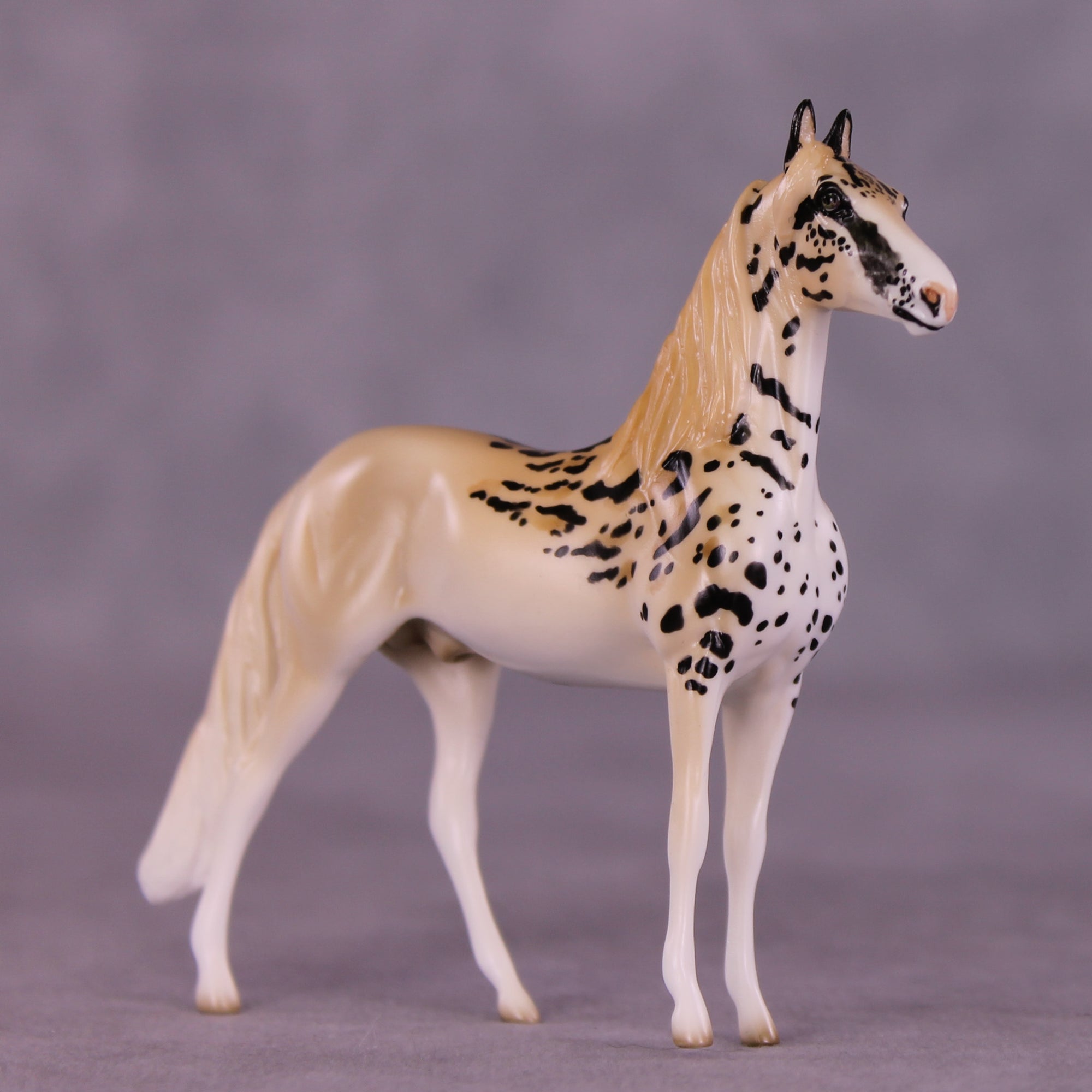 Barú LE-3 Chip Morgan by Jess Hamill MS25