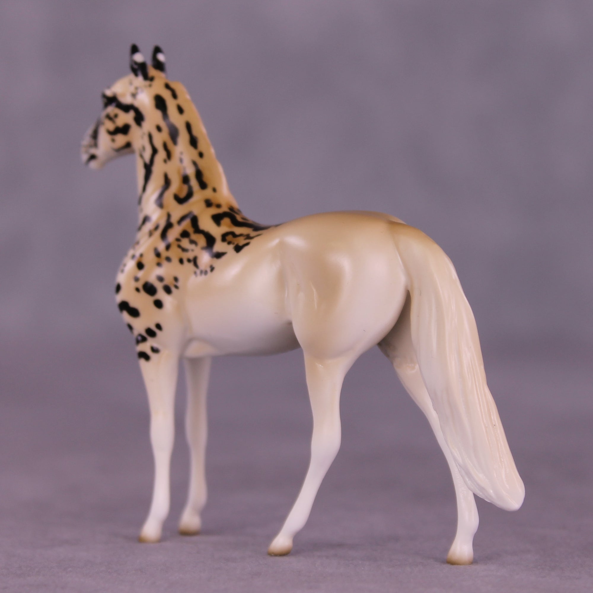 Barú LE-3 Chip Morgan by Jess Hamill MS25