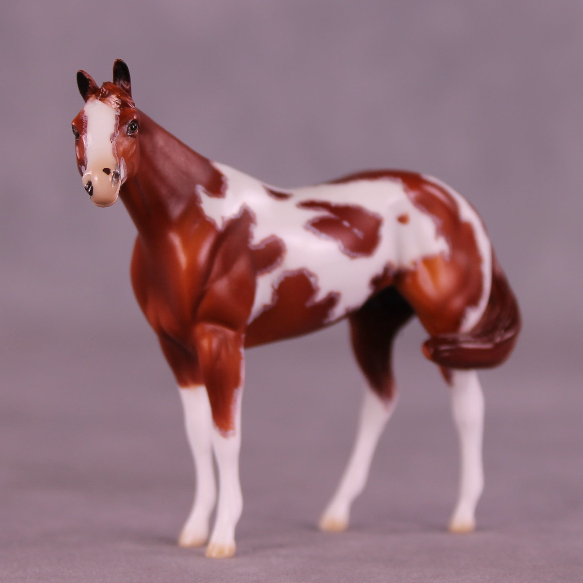 Garnet King or Matchsticks LE-24 FCM Chip Stock Horse by Dawn Quick FS25