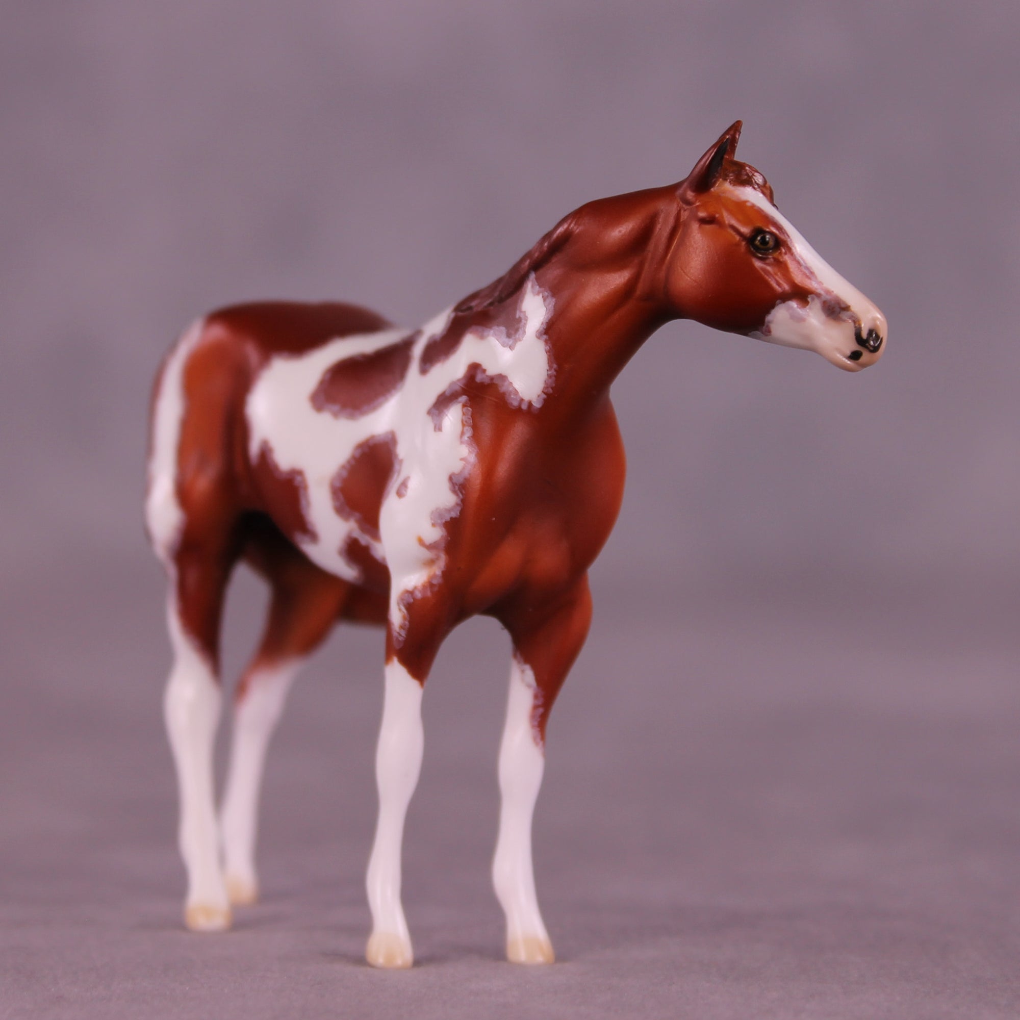 Garnet King or Matchsticks LE-24 FCM Chip Stock Horse by Dawn Quick FS25