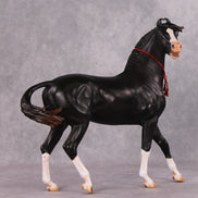 Eshan OOAK Dappled Black Extreme Custom Marwari Arabian By Kylee Parks Model Horse Place 12/3/24