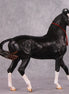 Eshan OOAK Dappled Black Extreme Custom Marwari Arabian By Kylee Parks Model Horse Place 12/3/24