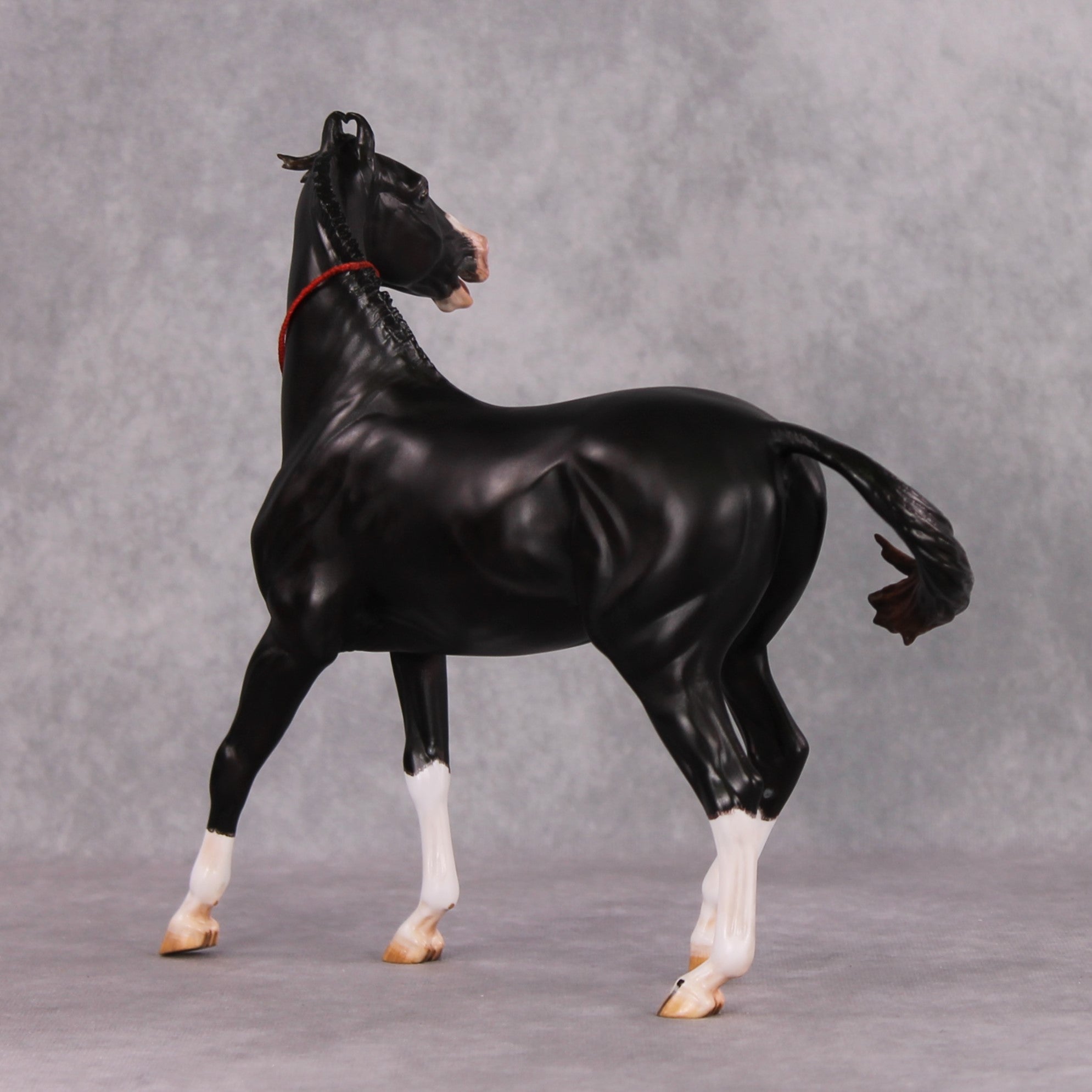 Eshan OOAK Dappled Black Extreme Custom Marwari Arabian By Kylee Parks Model Horse Place 12/3/24