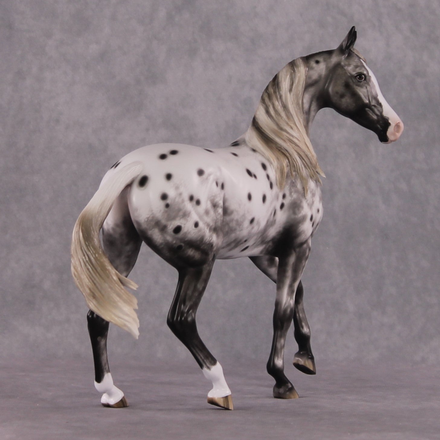 &quot;Blue Note&quot; Best Offer FCM Arab Mare By Sheryl Leisure 04/15/2025