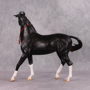 Eshan OOAK Dappled Black Extreme Custom Marwari Arabian By Kylee Parks Model Horse Place 12/3/24