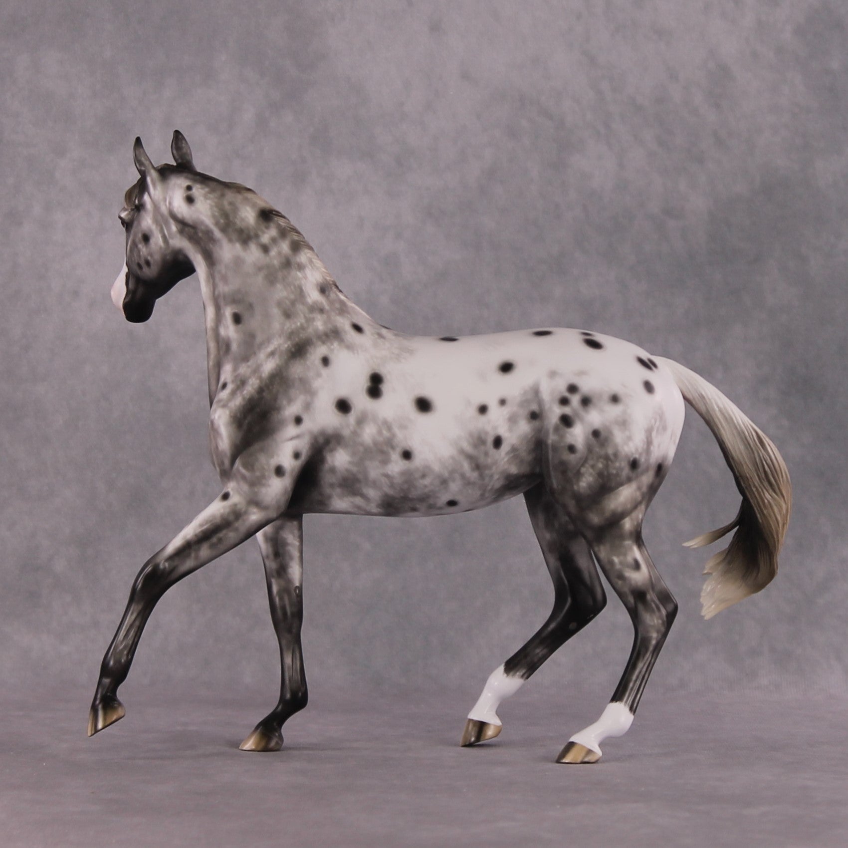 &quot;Blue Note&quot; Best Offer FCM Arab Mare By Sheryl Leisure 04/15/2025