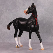 Eshan OOAK Dappled Black Extreme Custom Marwari Arabian By Kylee Parks Model Horse Place 12/3/24