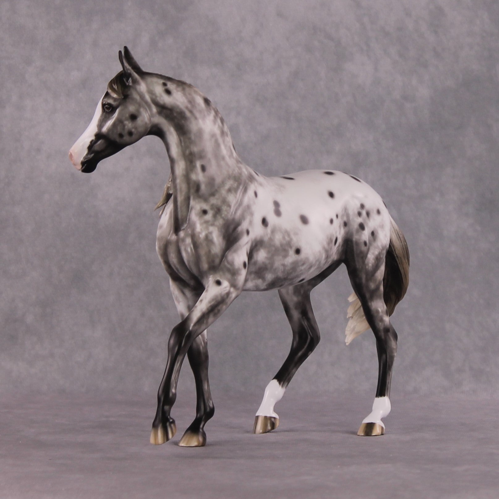 &quot;Blue Note&quot; Best Offer FCM Arab Mare By Sheryl Leisure 04/15/2025