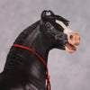 Eshan OOAK Dappled Black Extreme Custom Marwari Arabian By Kylee Parks Model Horse Place 12/3/24