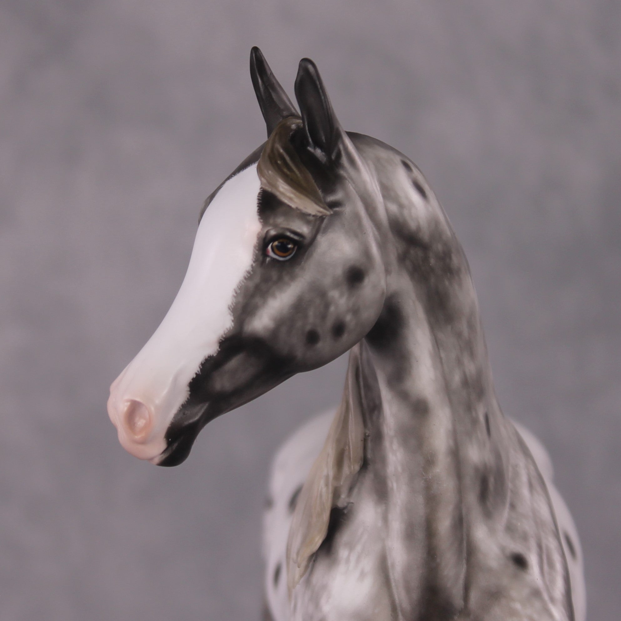 &quot;Blue Note&quot; Best Offer FCM Arab Mare By Sheryl Leisure 04/15/2025