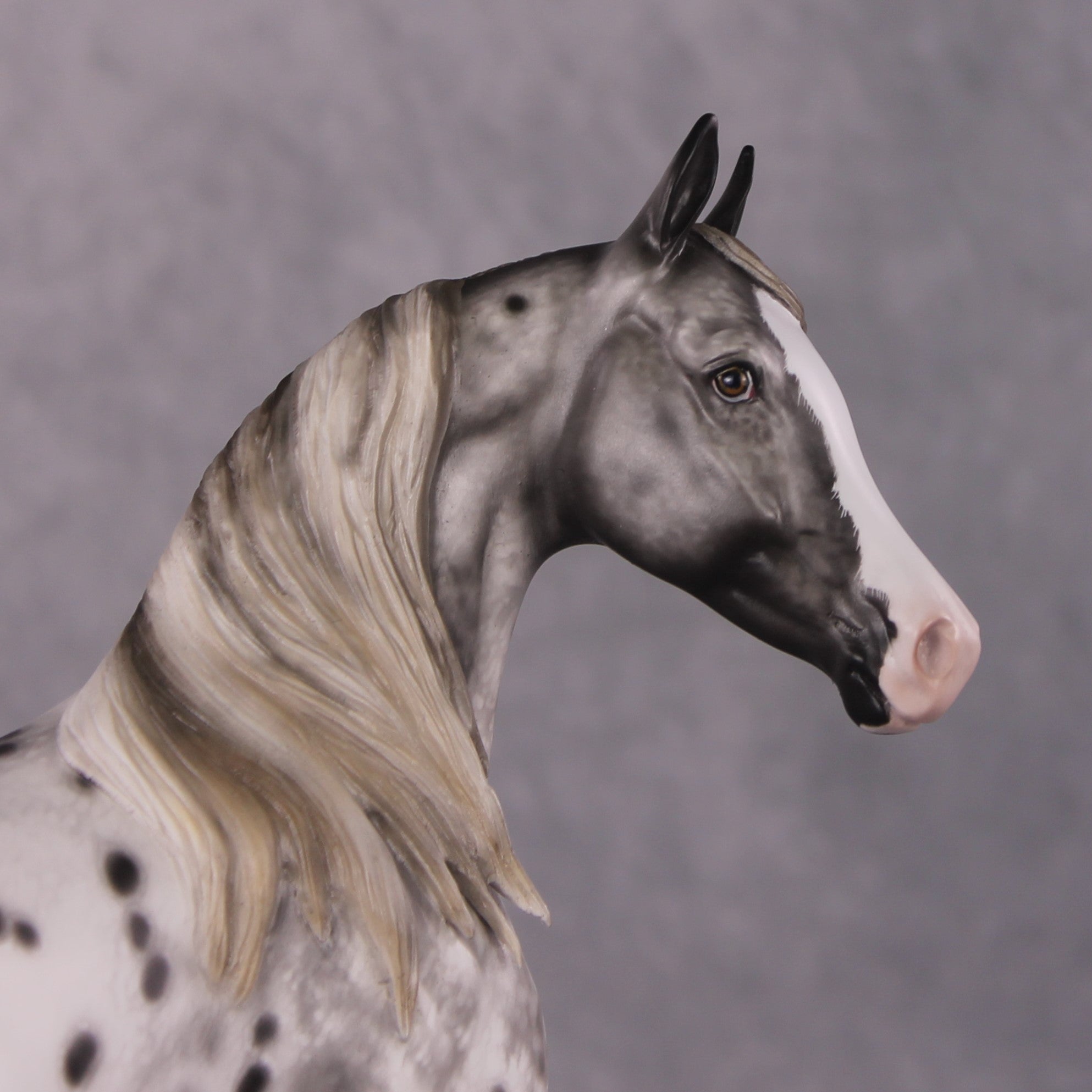 &quot;Blue Note&quot; Best Offer FCM Arab Mare By Sheryl Leisure 04/15/2025