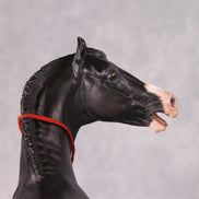 Eshan OOAK Dappled Black Extreme Custom Marwari Arabian By Kylee Parks Model Horse Place 12/3/24