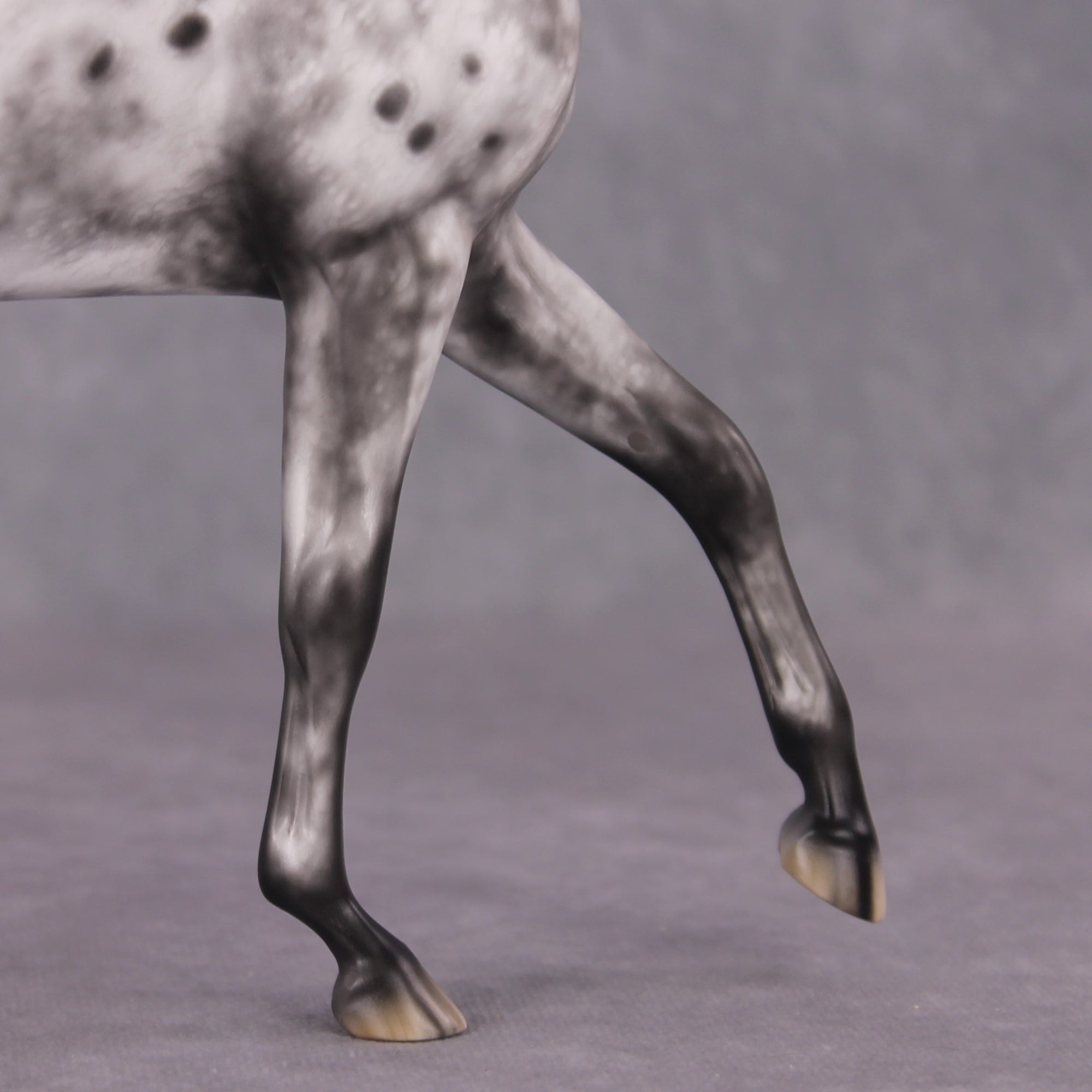 &quot;Blue Note&quot; Best Offer FCM Arab Mare By Sheryl Leisure 04/15/2025