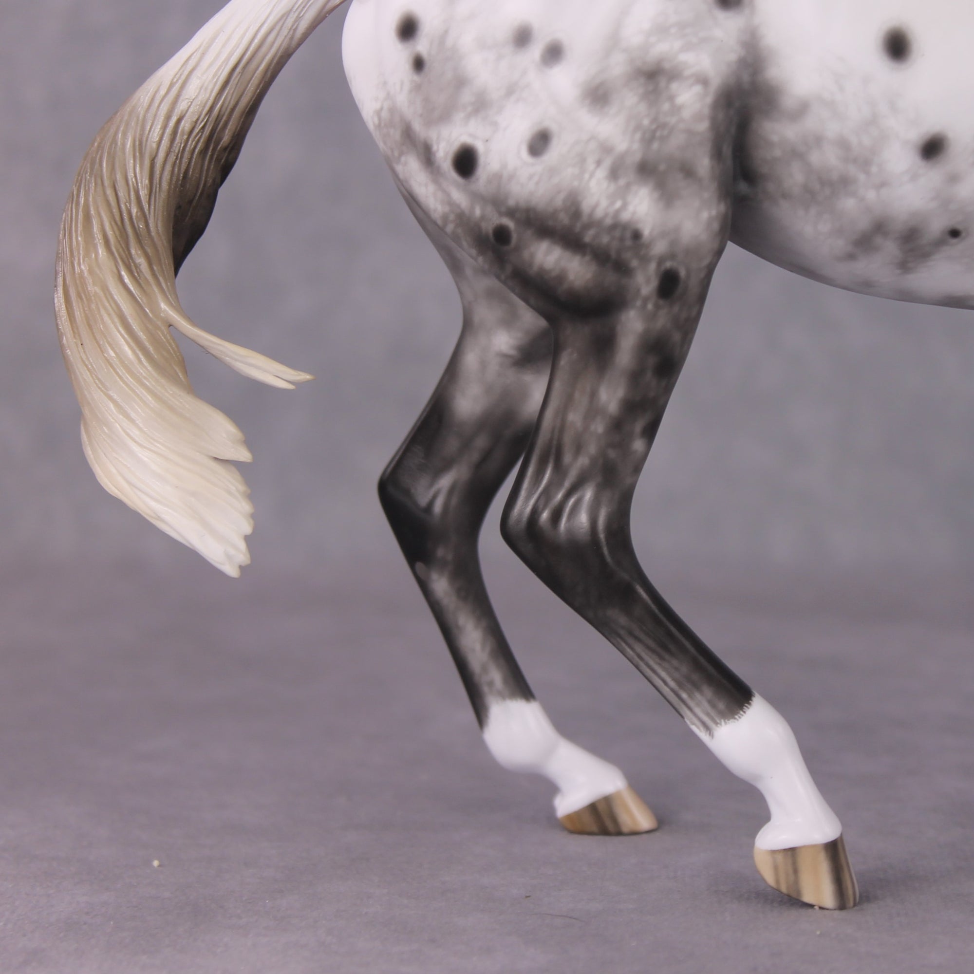 &quot;Blue Note&quot; Best Offer FCM Arab Mare By Sheryl Leisure 04/15/2025