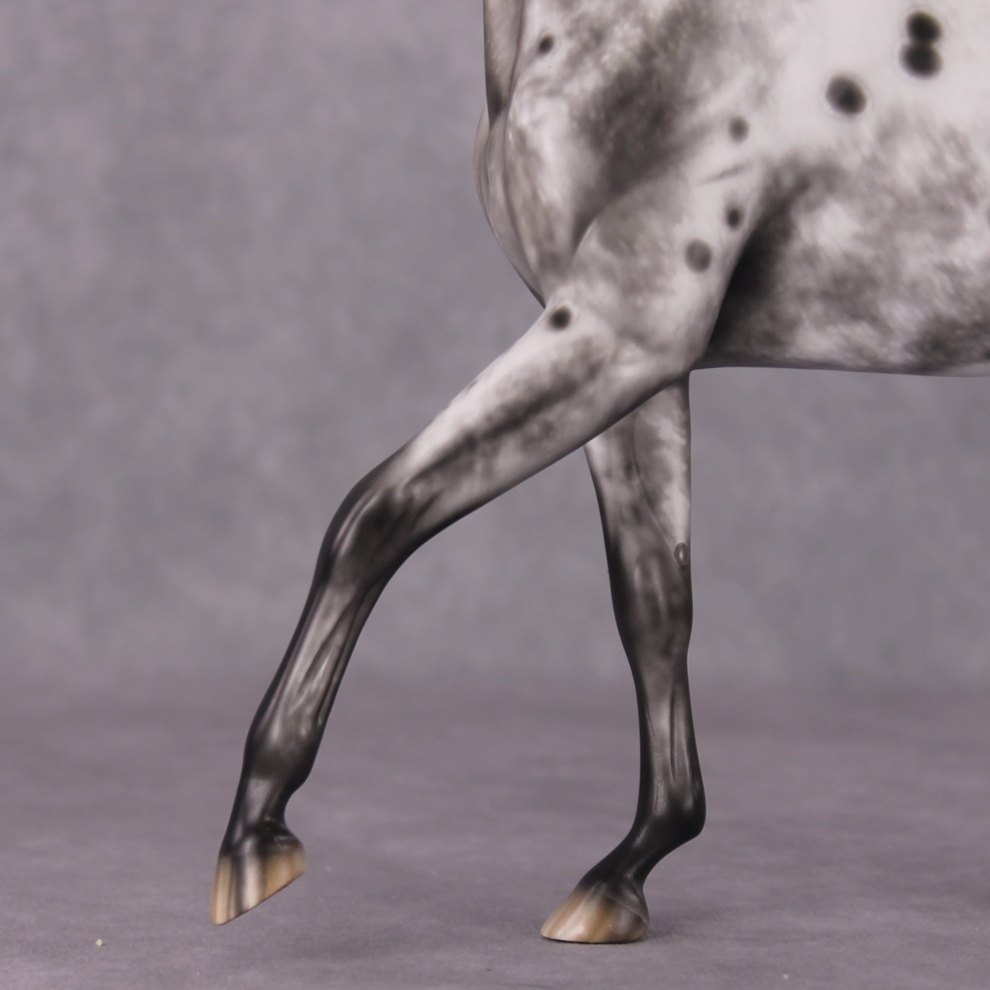 &quot;Blue Note&quot; Best Offer FCM Arab Mare By Sheryl Leisure 04/15/2025