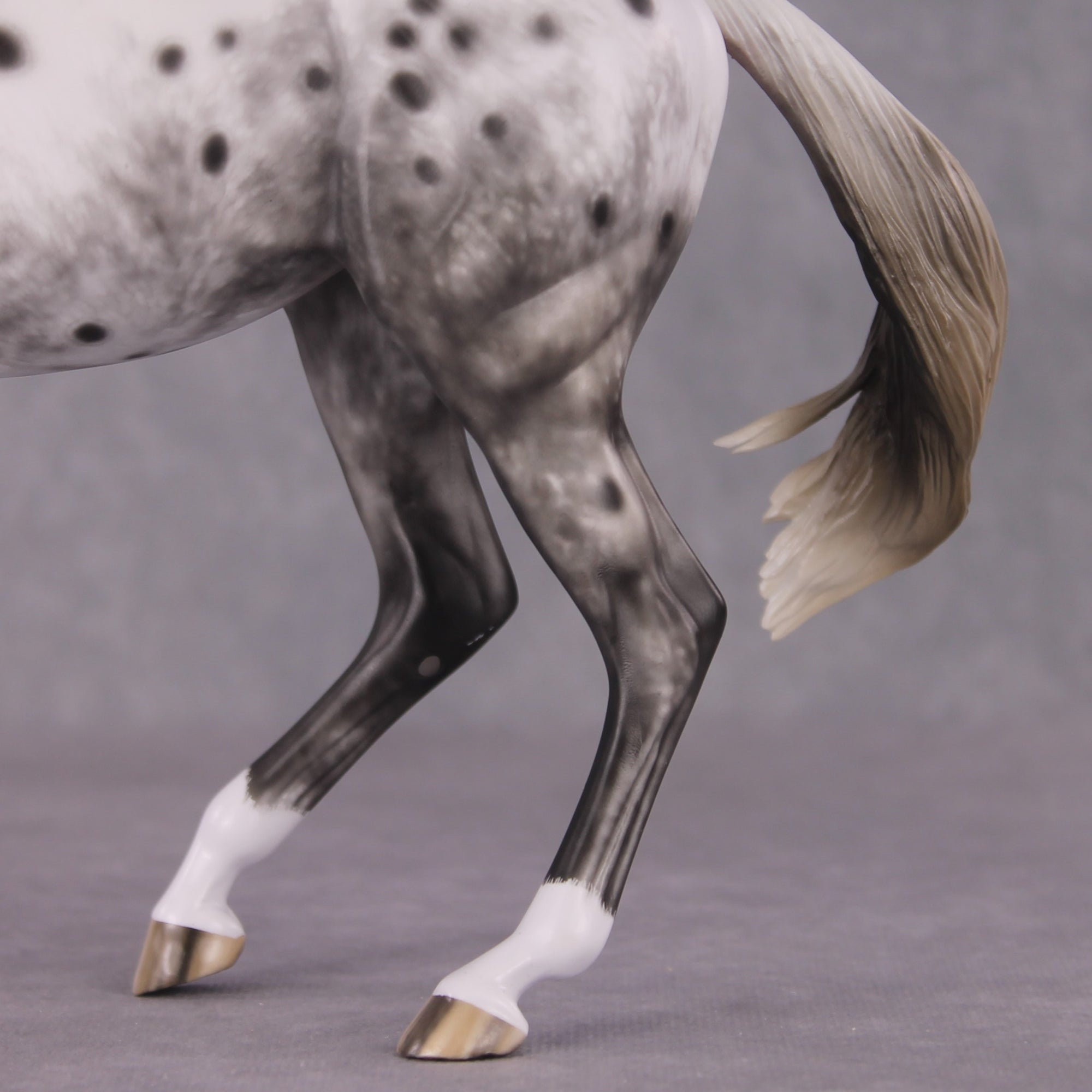 &quot;Blue Note&quot; Best Offer FCM Arab Mare By Sheryl Leisure 04/15/2025