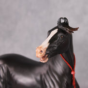 Eshan OOAK Dappled Black Extreme Custom Marwari Arabian By Kylee Parks Model Horse Place 12/3/24