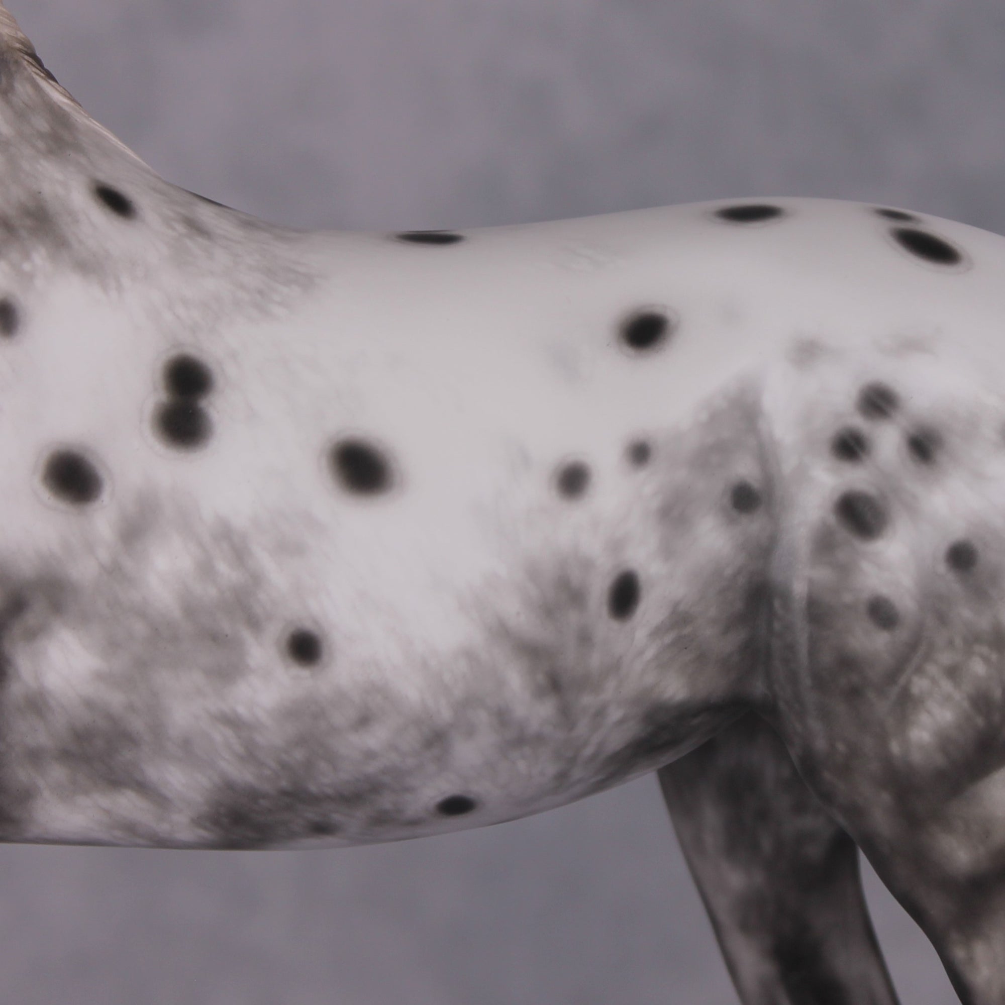 &quot;Blue Note&quot; Best Offer FCM Arab Mare By Sheryl Leisure 04/15/2025