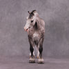 &quot;Stylo&quot; OOAK EFCM Bunny By Caroline Boydston Best Offer 5/6/2025