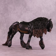 Pre-Order Tomfoolery LE-30 Irish Cob by Anna Rieck TS25